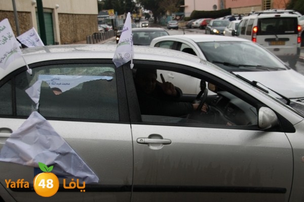 qafela sayarat haiywa (24).JPG